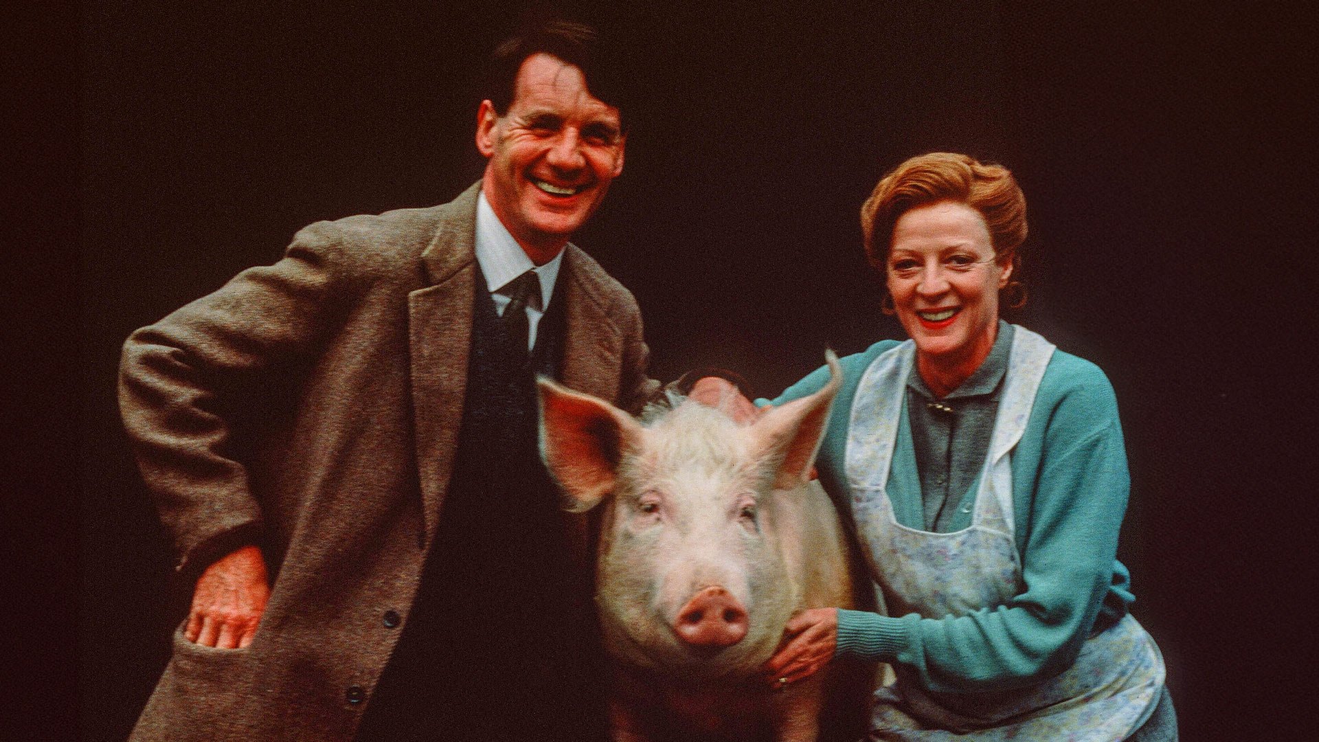 A Private Function (1984)