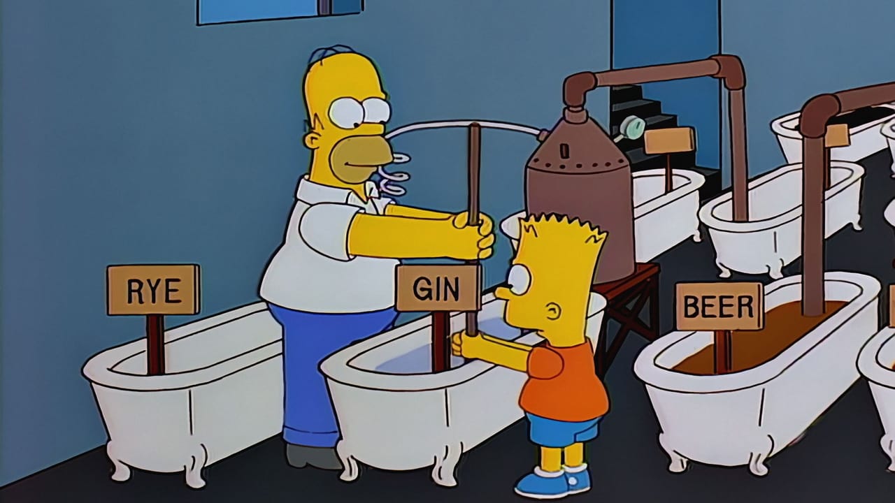 The Simpsons Season 8 :Episode 18  Homer vs. the Eighteenth Amendment
