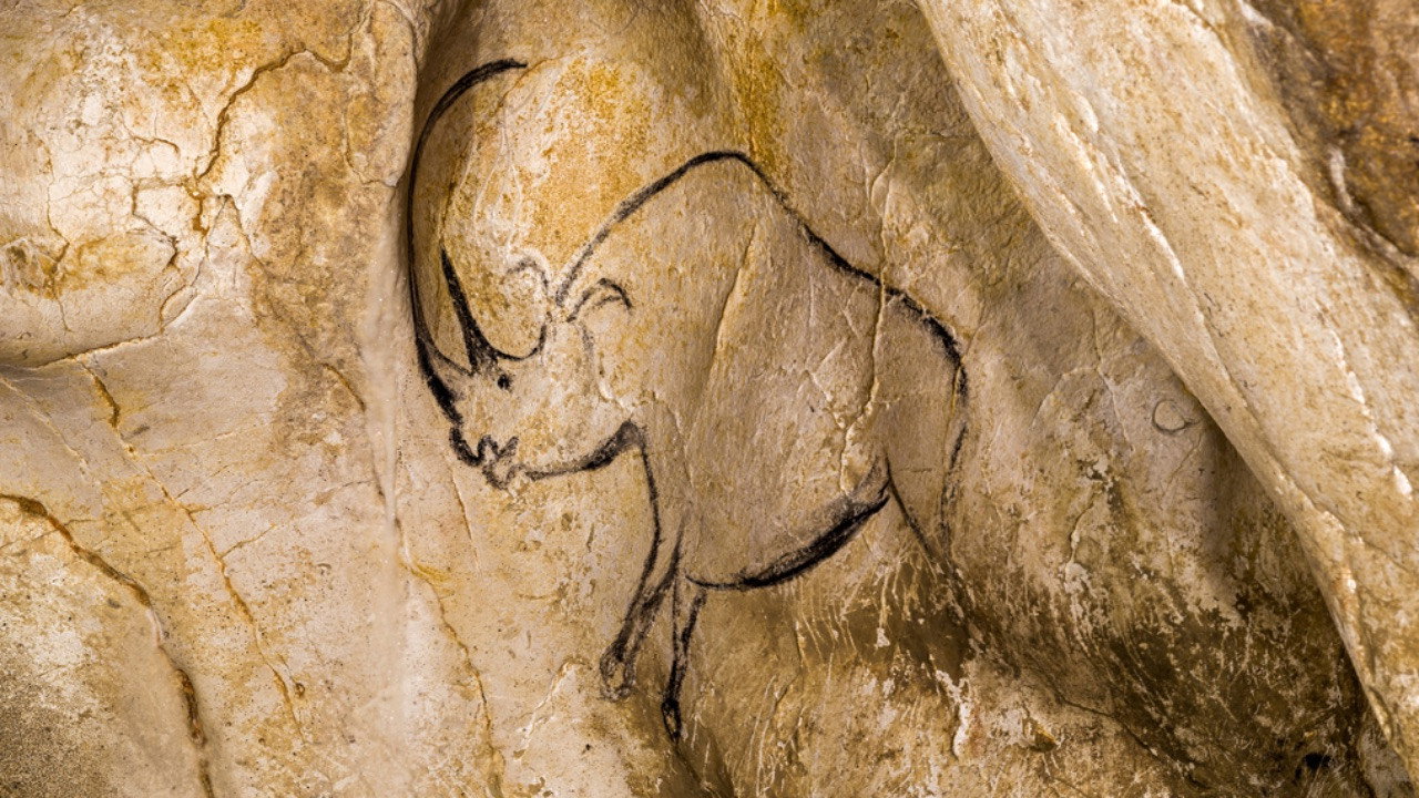 Grotte Chauvet - Dans les pas des artistes de la Préhistoire