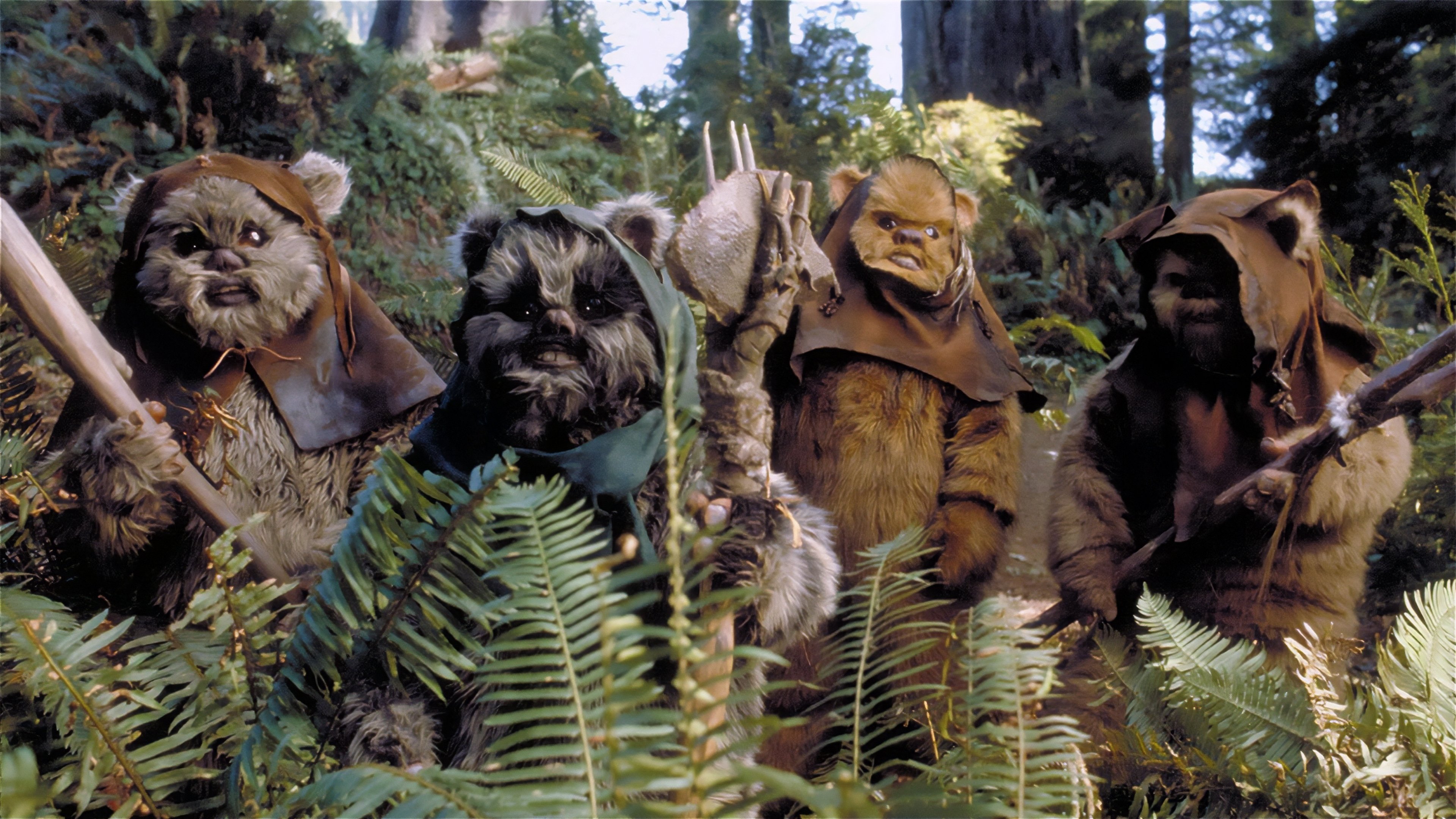 L'Aventure des Ewoks : La Bataille pour Endor