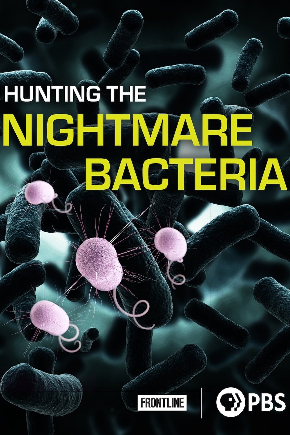 Hunting The Nightmare Bacteria