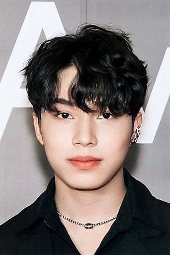 Phạm Thế Bằng's picture in the cast