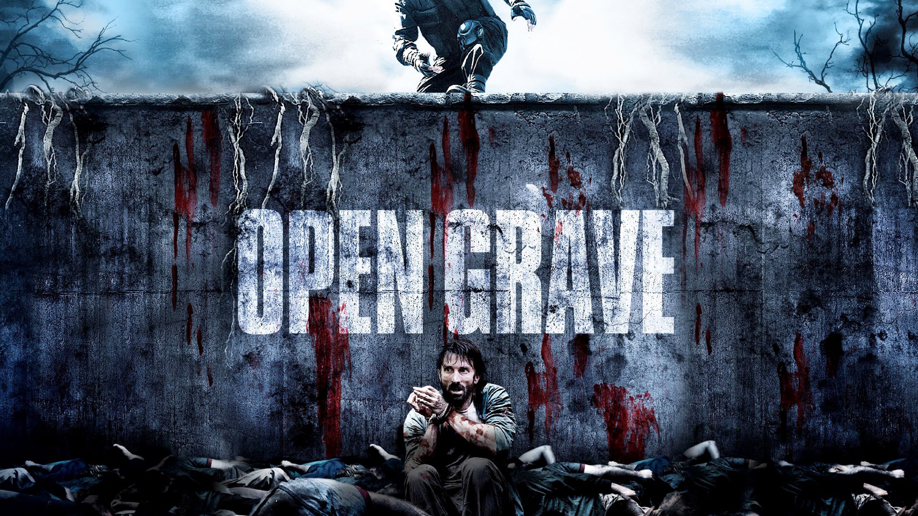 Open Grave (2013)