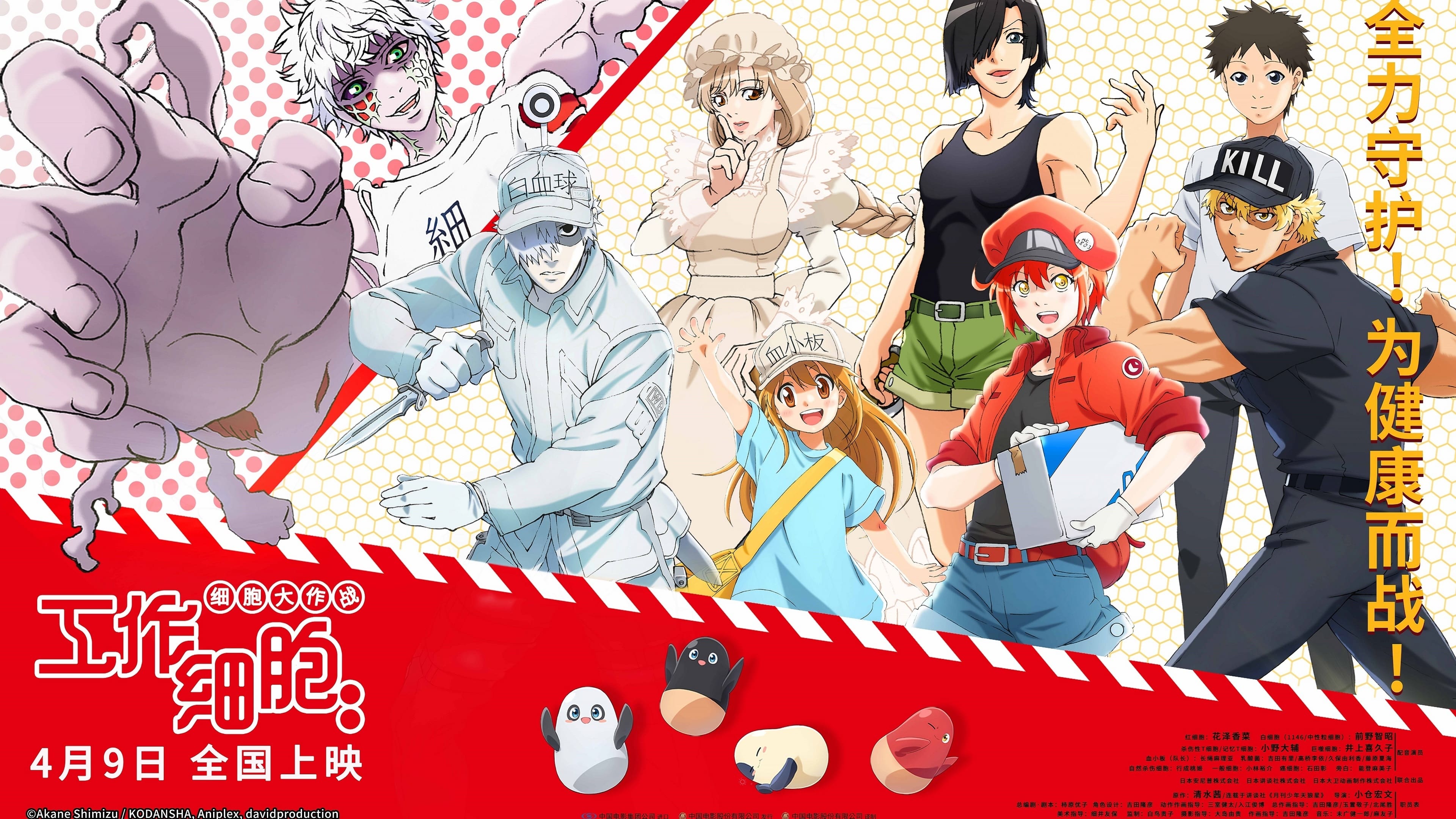 Hataraku Saibou!!: Saikyou no Teki, Futatabi. Karada no Naka wa 