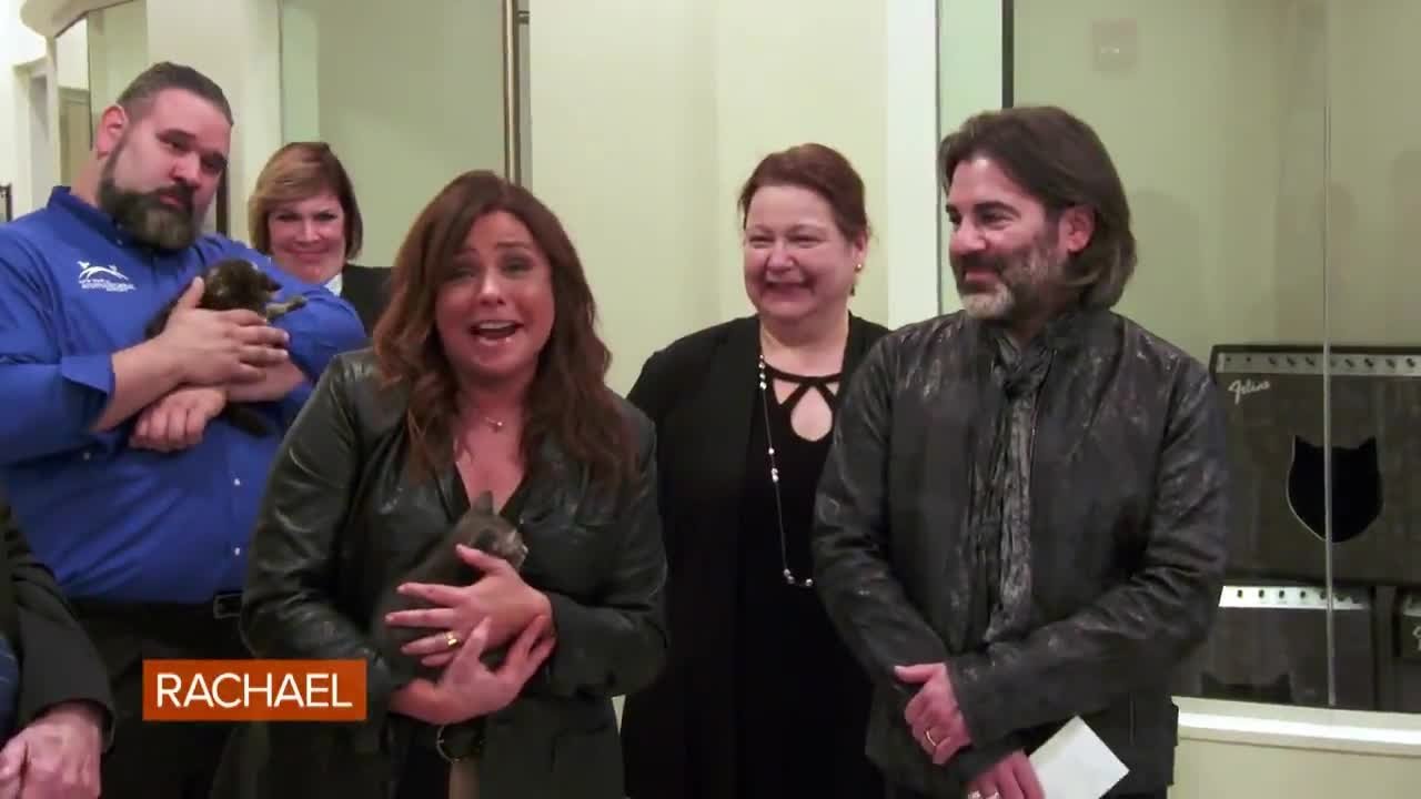 Rachael Ray Season 14 :Episode 42  We've Got a Few Doctors in the House Today! Dr. Oz Is Here