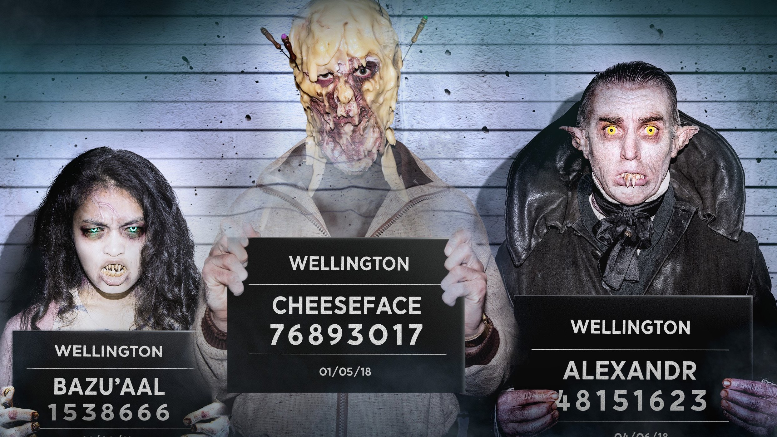 Wellington Paranormal – Season 1 Watch Free Season Online - 123Movies