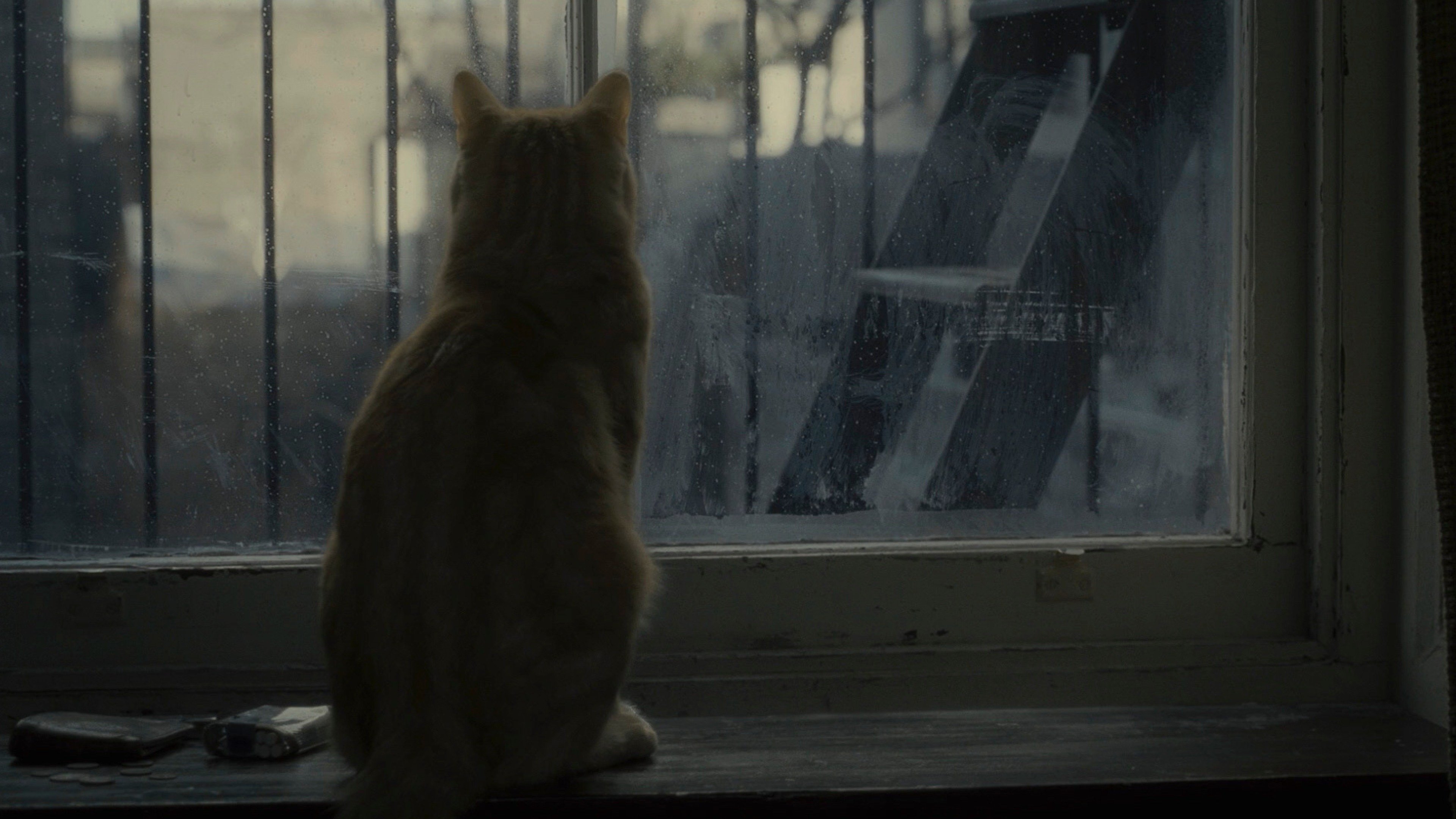 Внутри Льюина Дэвиса (2013)