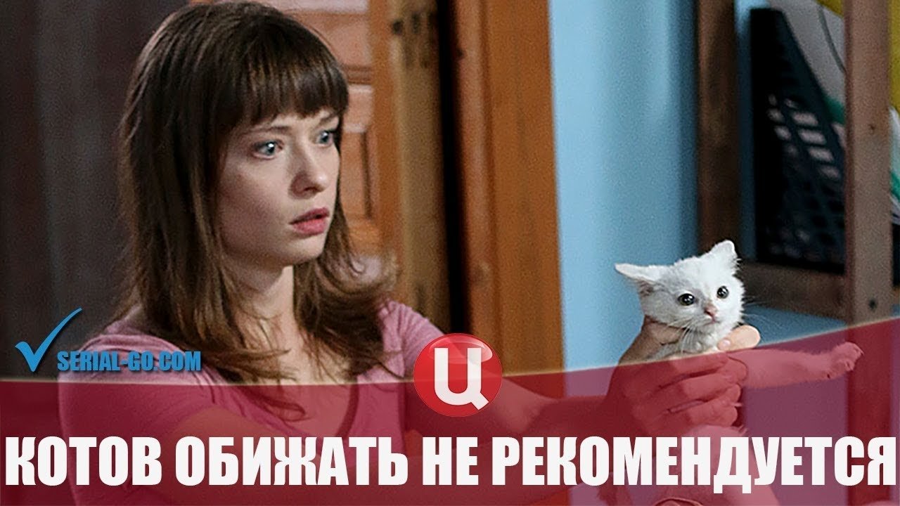 Котов обижать не рекомендуется poster