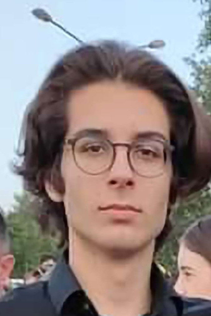 et billede af Vuk Olujić