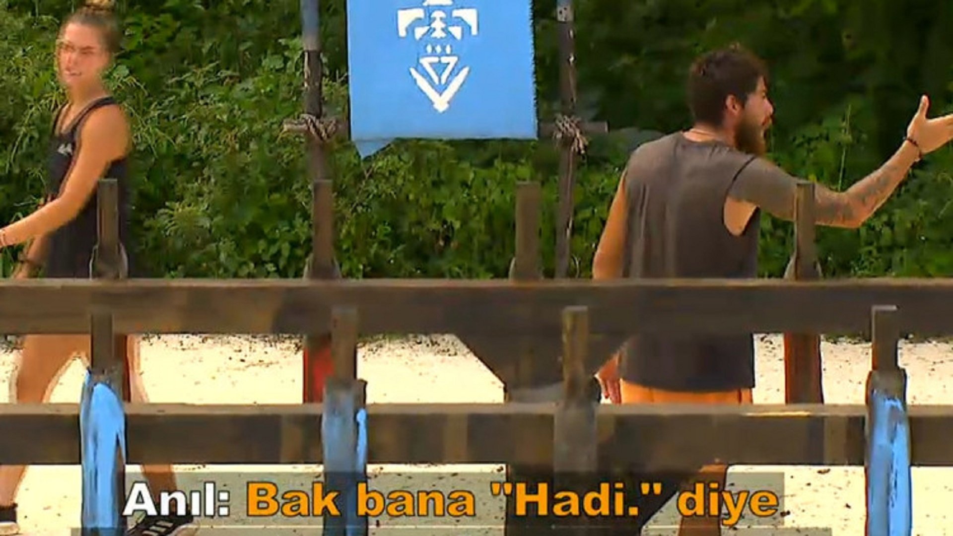 Survivor All Star
