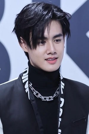 et billede af Toranin Manosudprasit