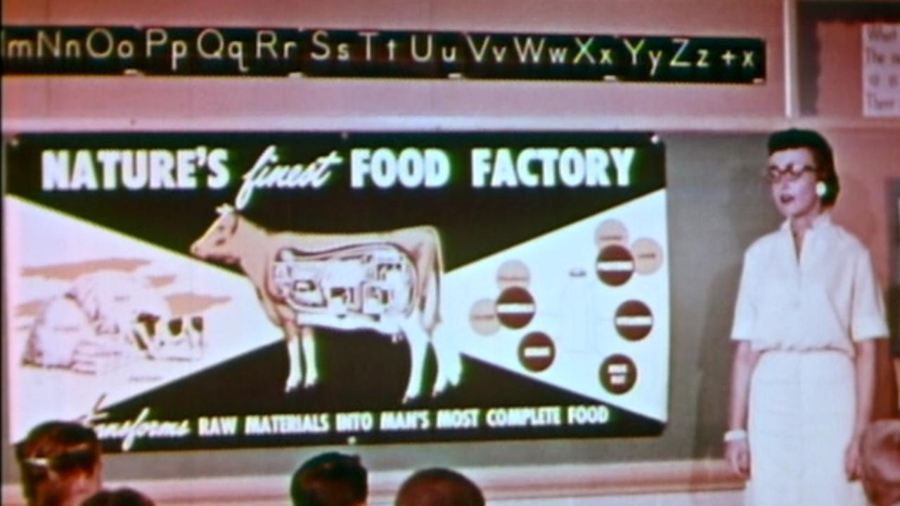 My Milkman, Joe (1958)