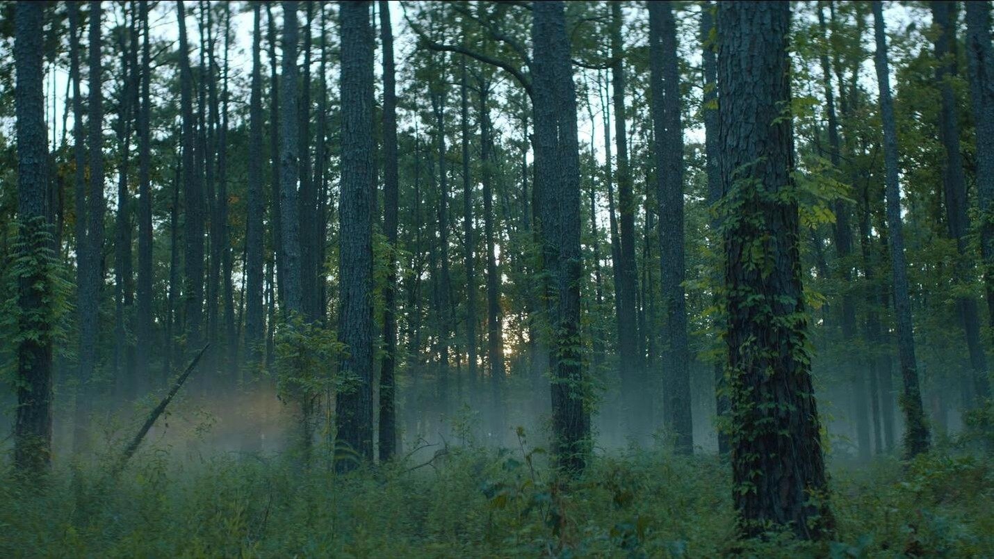 Rebel Ridge
