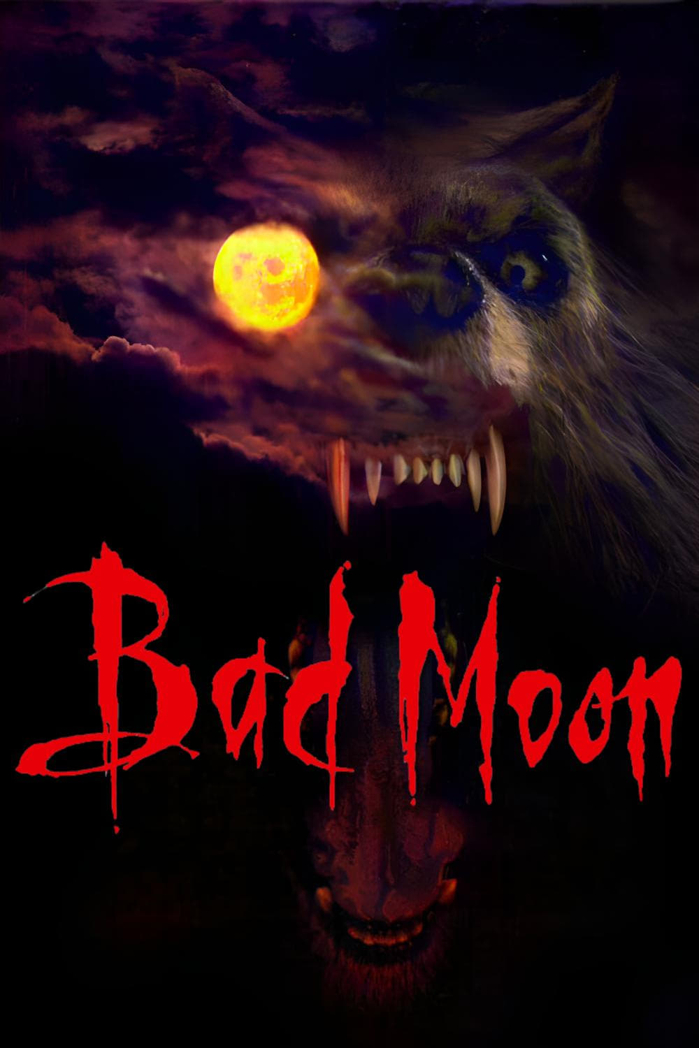 Bad Moon