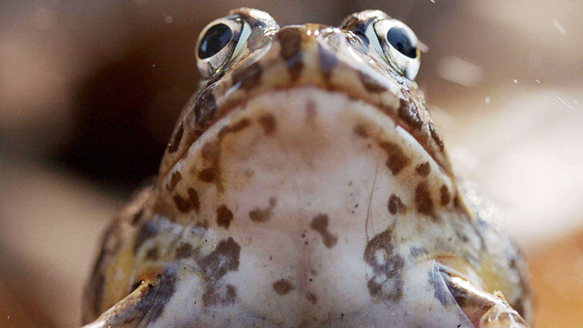 The Big Dry S01E03 backdrop