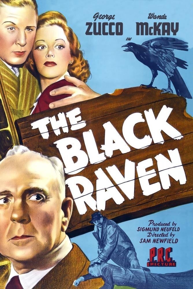 The Black Raven