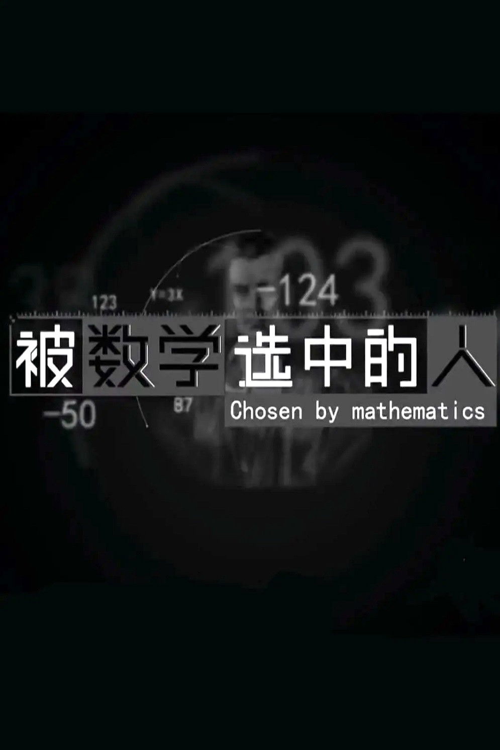 被数学选中的人