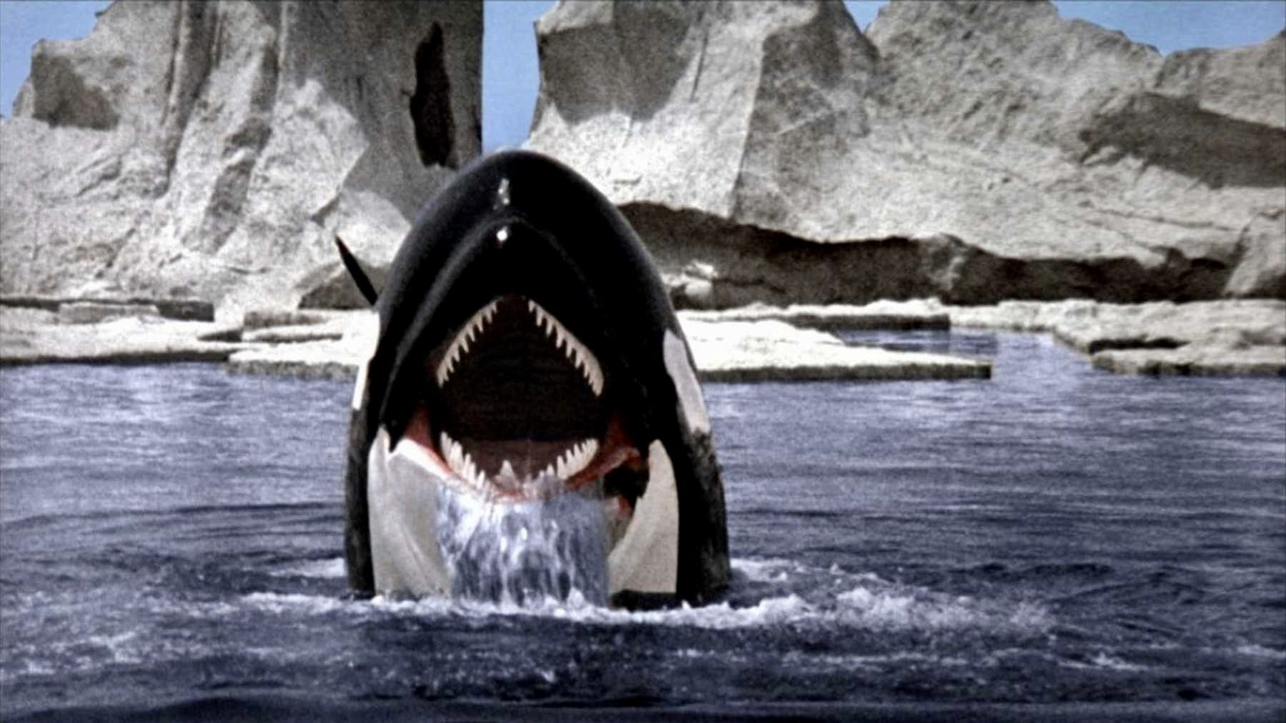 Orca (1977)