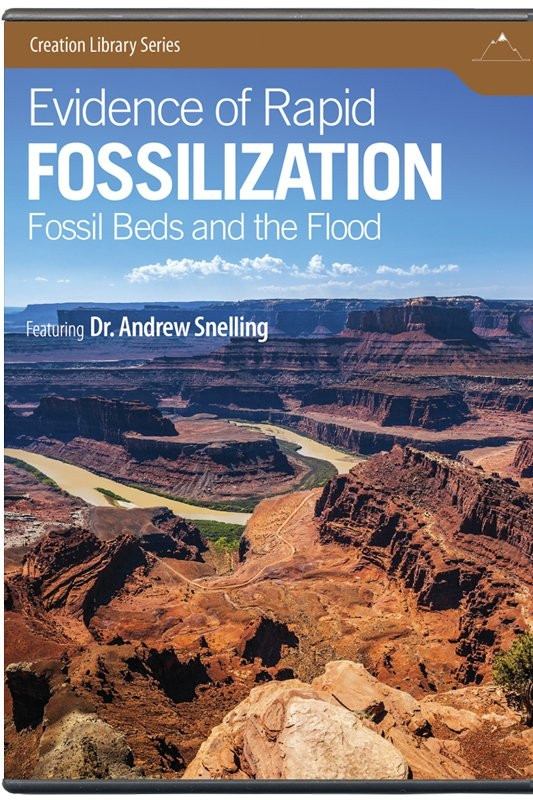 Evidence of Rapid Fossilization Evidence of Rapid Fossilization