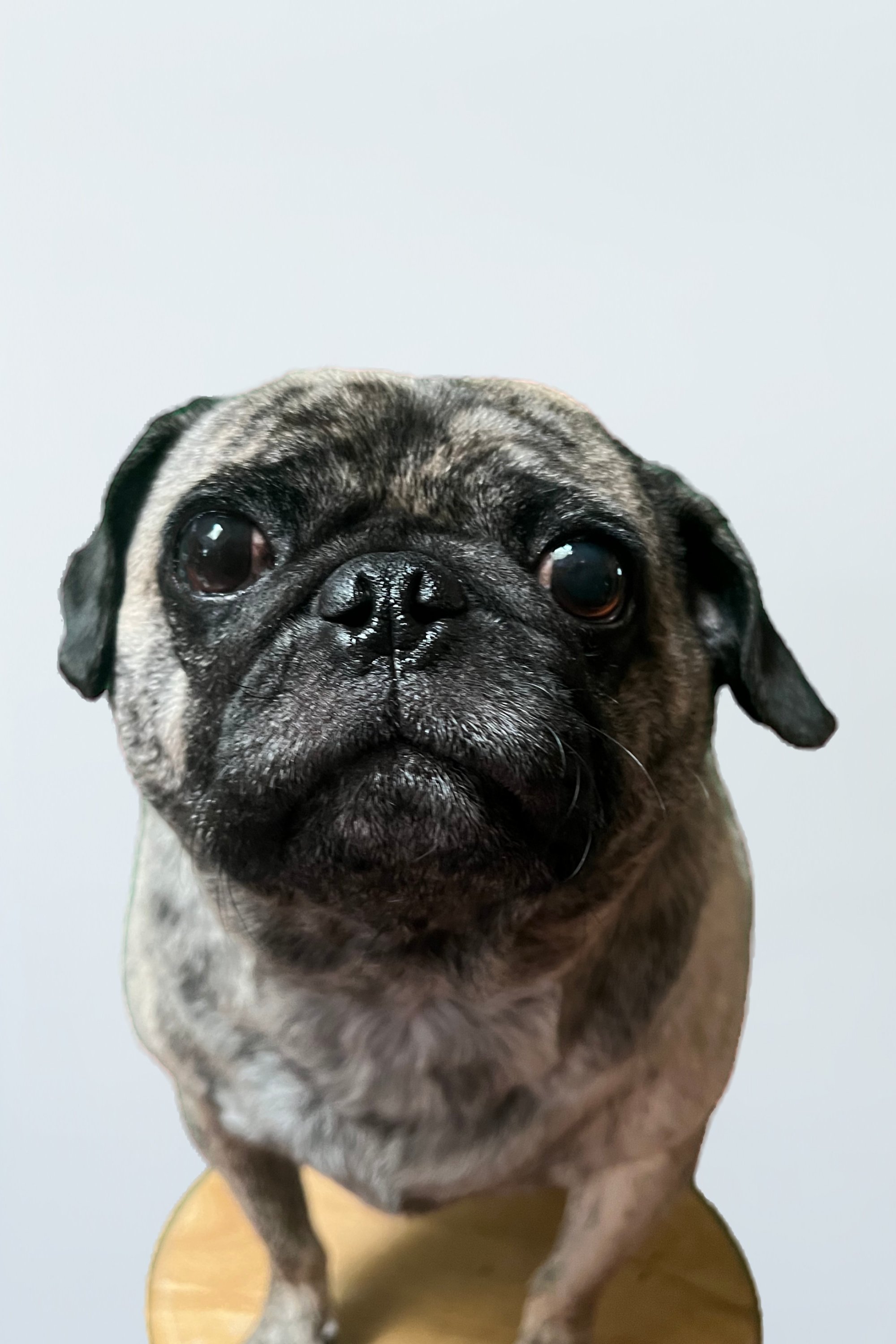 et billede af Glenn Hallmark