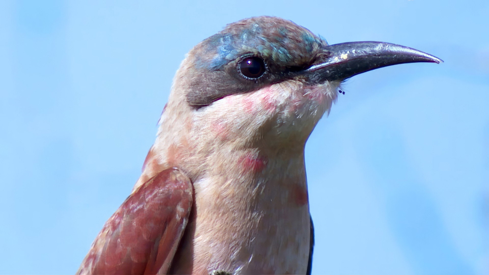Earth Odyssey with Dylan Dreyer S05E22 backdrop
