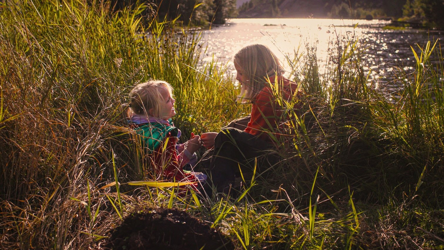 Sisters: The Summer We Found Our Superpowers