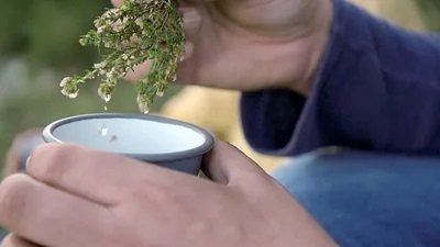 Les Secrets des fleurs sauvages - Sous le soleil