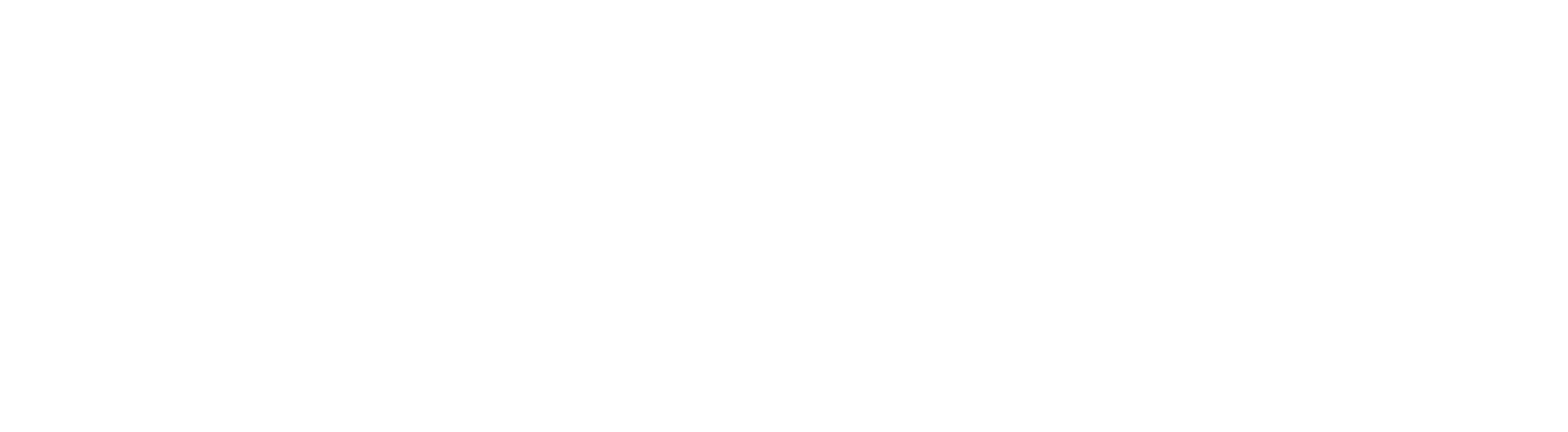 The Fatal Raid Logo