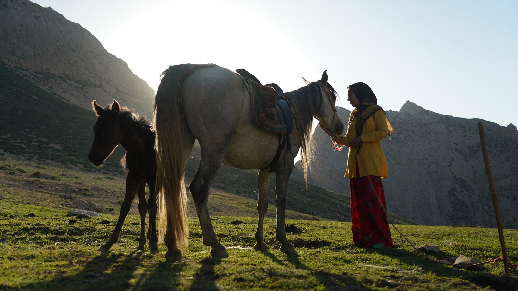 The Dream of a Horse (2022)