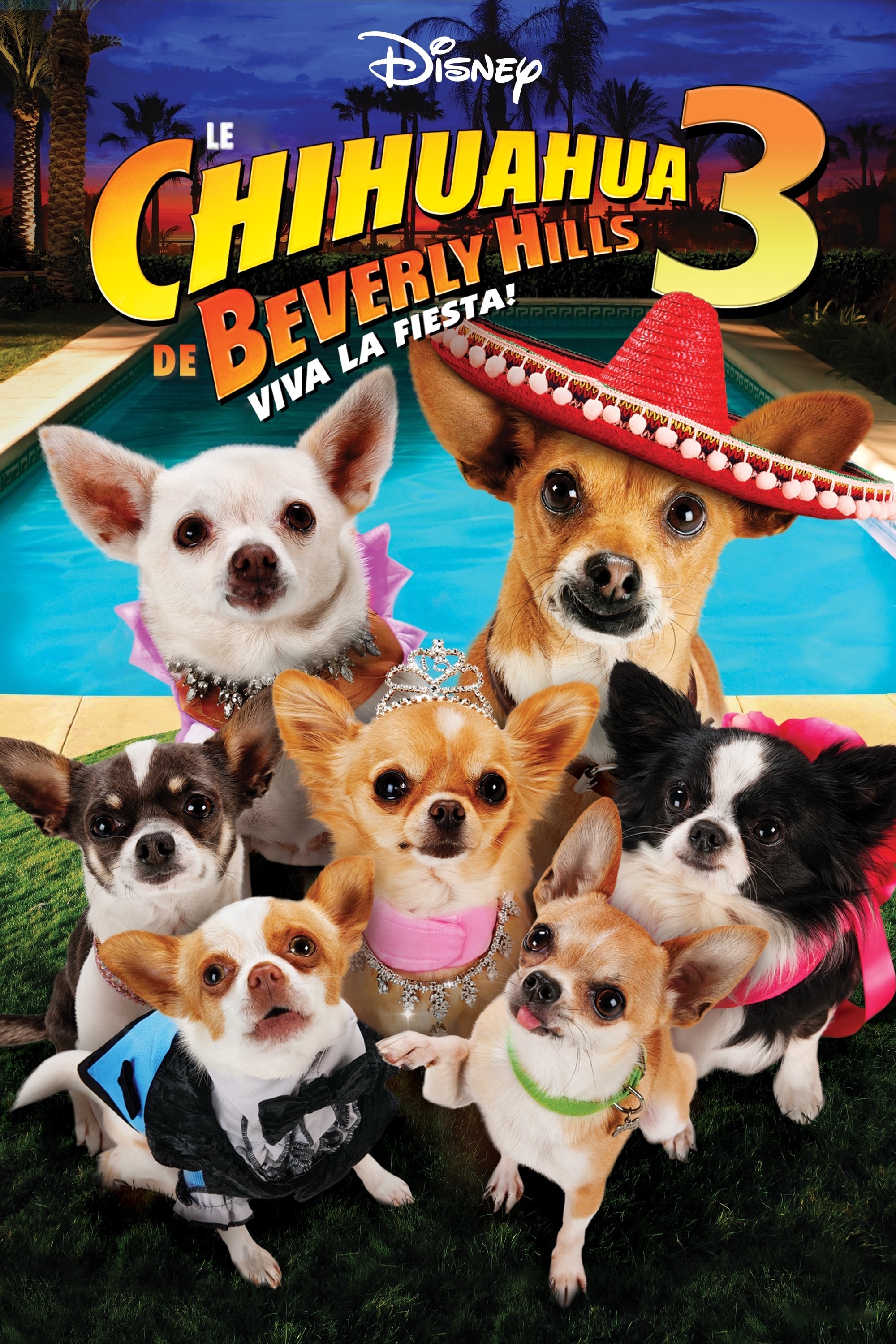 Le Chihuahua de Beverly Hills 3 : Viva la Fiesta ! streaming