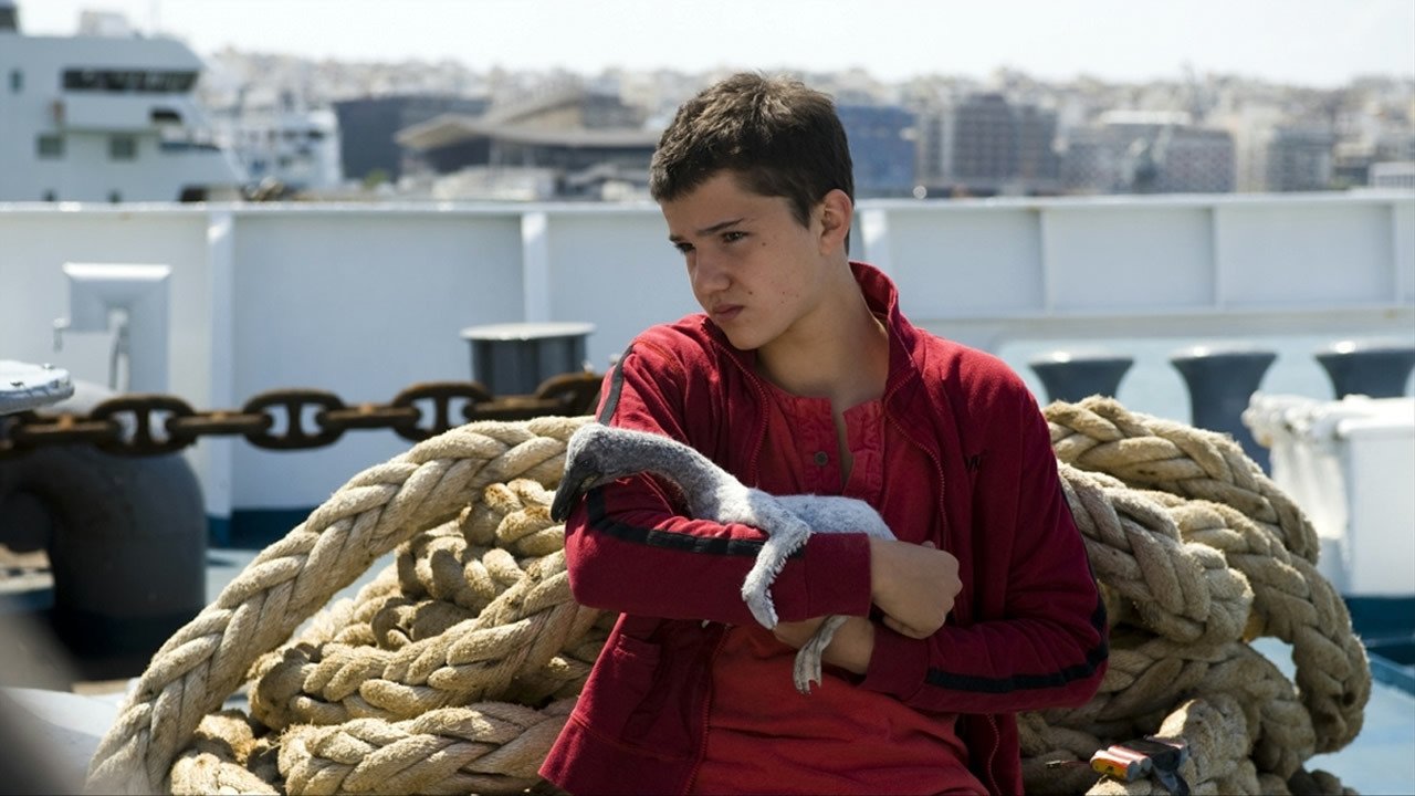 Nicostratos the Pelican (2011)