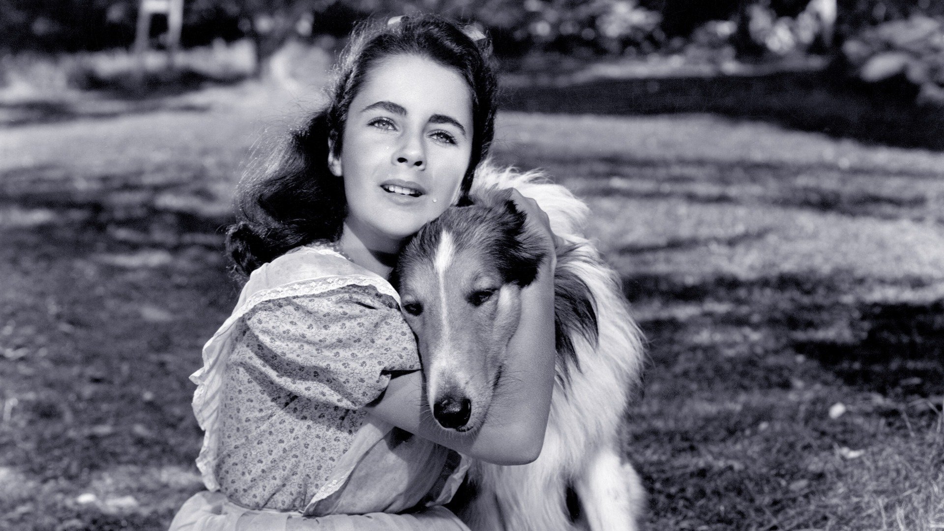 Courage of Lassie (1946)