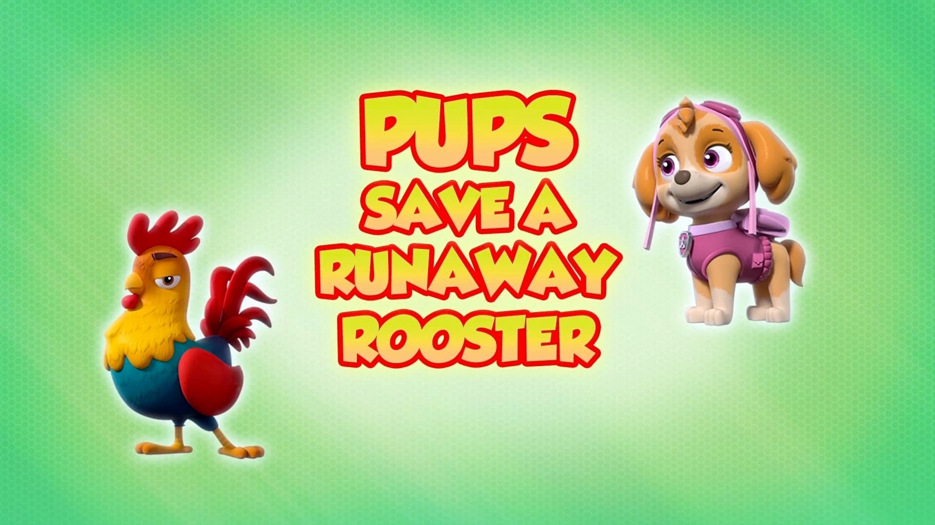 Episode 1 - I cuccioli salvano un gallo in fuga
