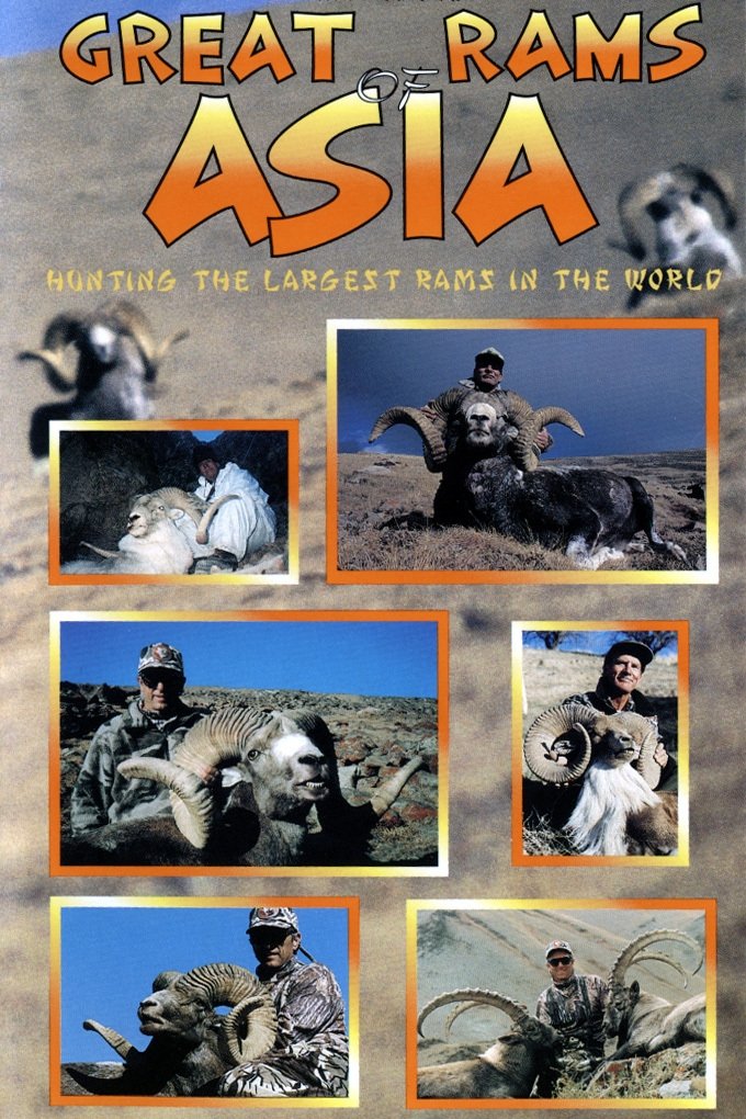 Content cover