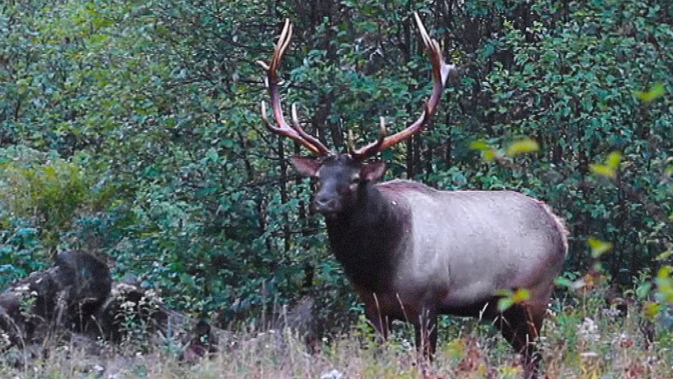 Great Lakes Wild S01E06 backdrop