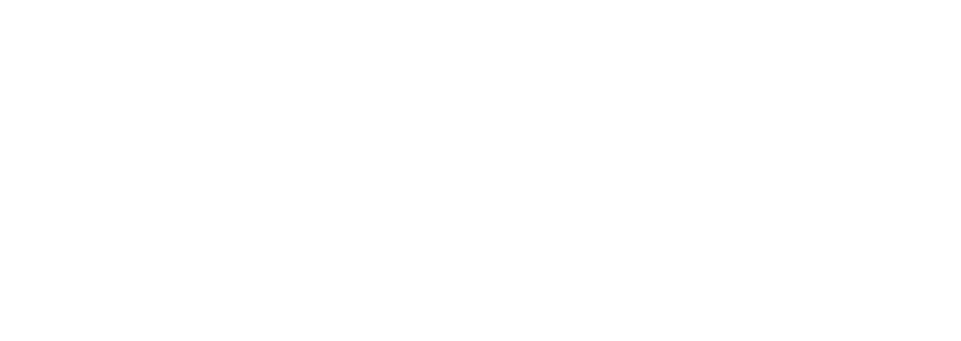 The New Guy Logo