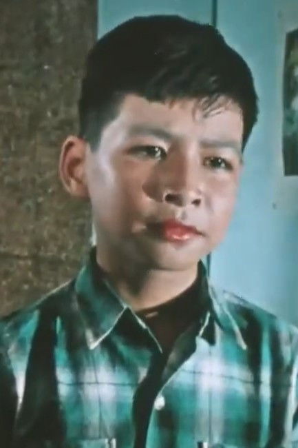 et billede af Hùng Sơn