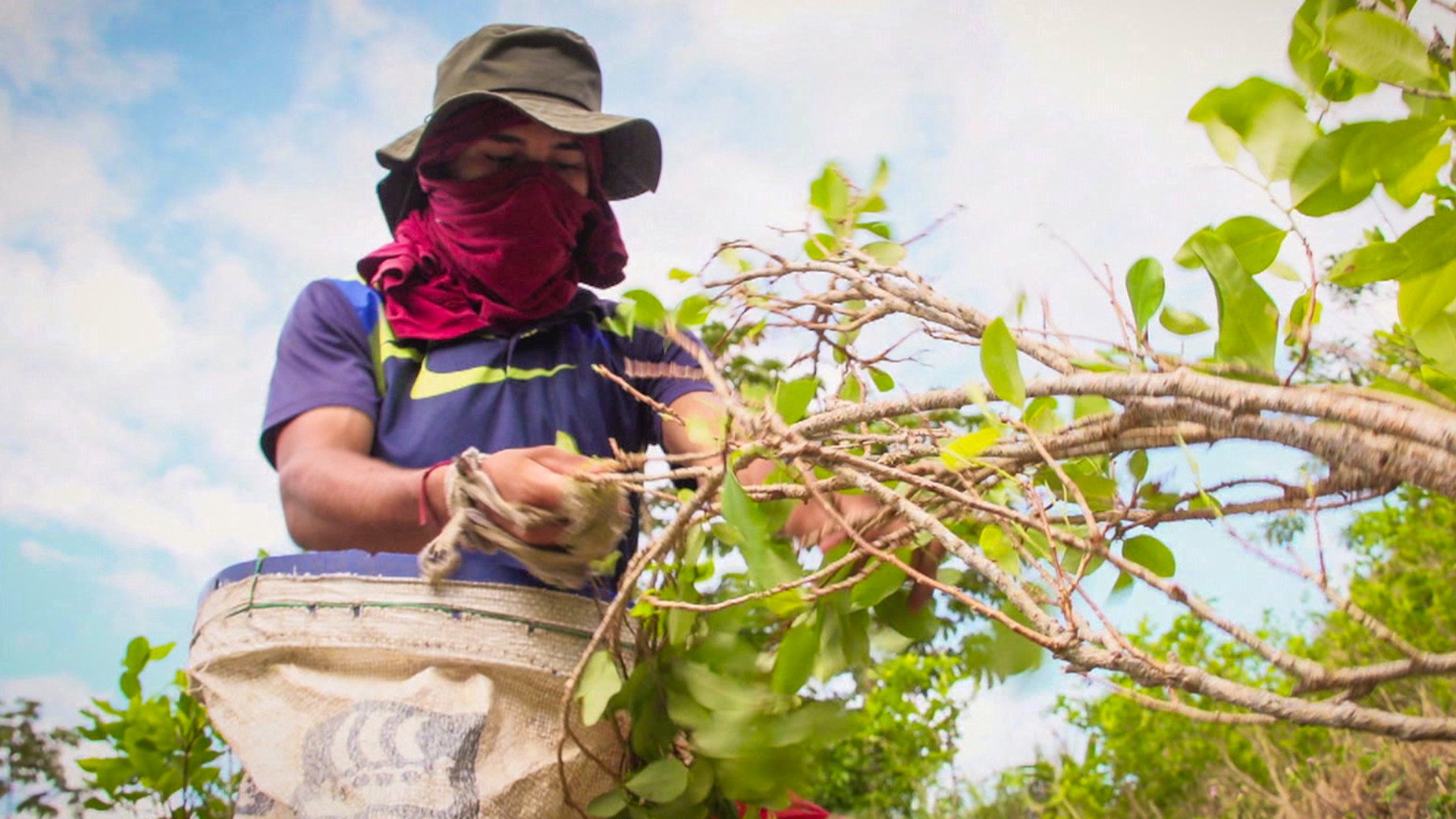 Our World S14E01 backdrop