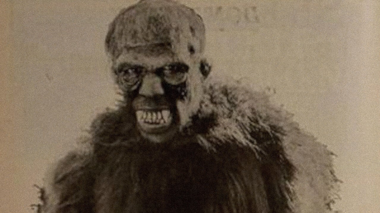 Go and Get It (1920)
