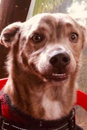 et billede af Morfeu Ender de Souza