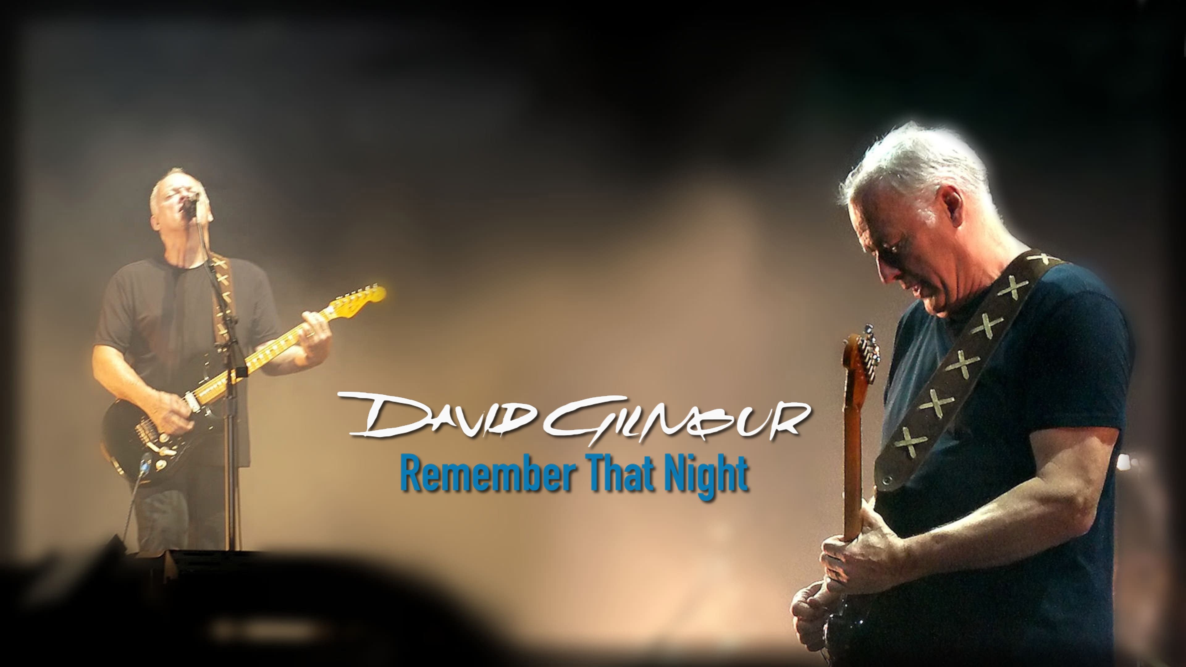 David Gilmour: Remember That Night - Live at the Royal Albert Hall (2007)