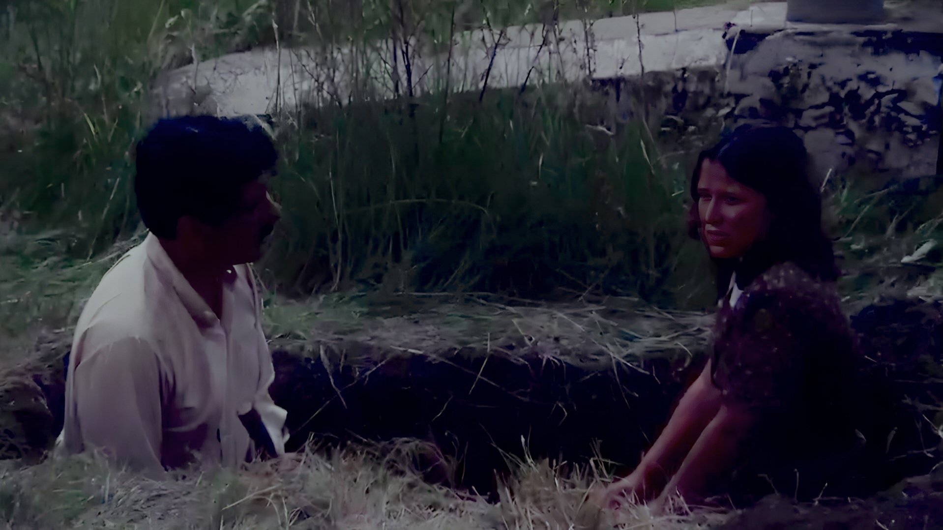 Los confines (1987)