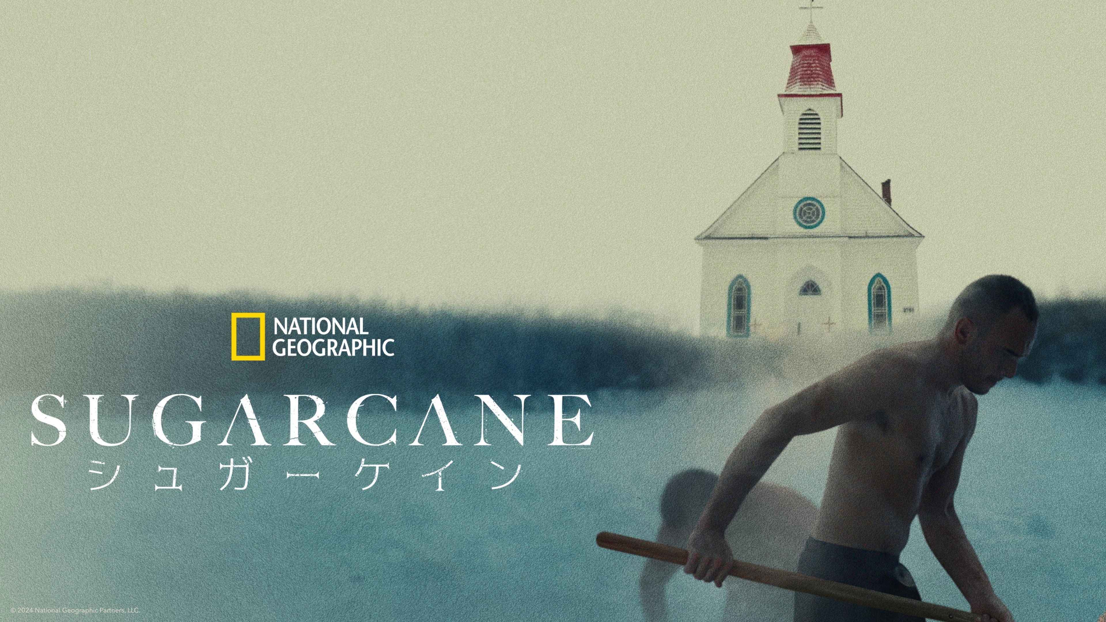 Sugarcane