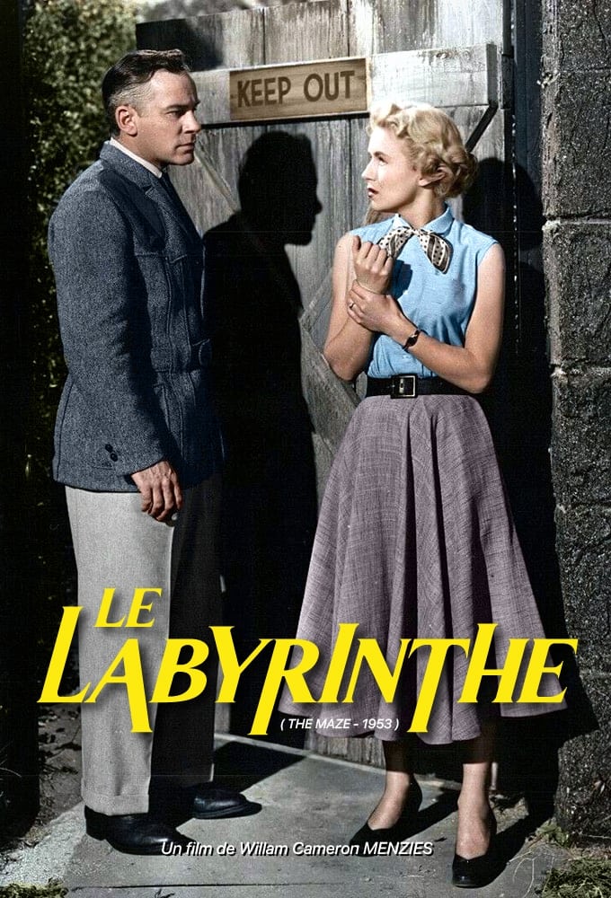 Affiche du film Le Labyrinthe 181347