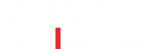 Most špiónů