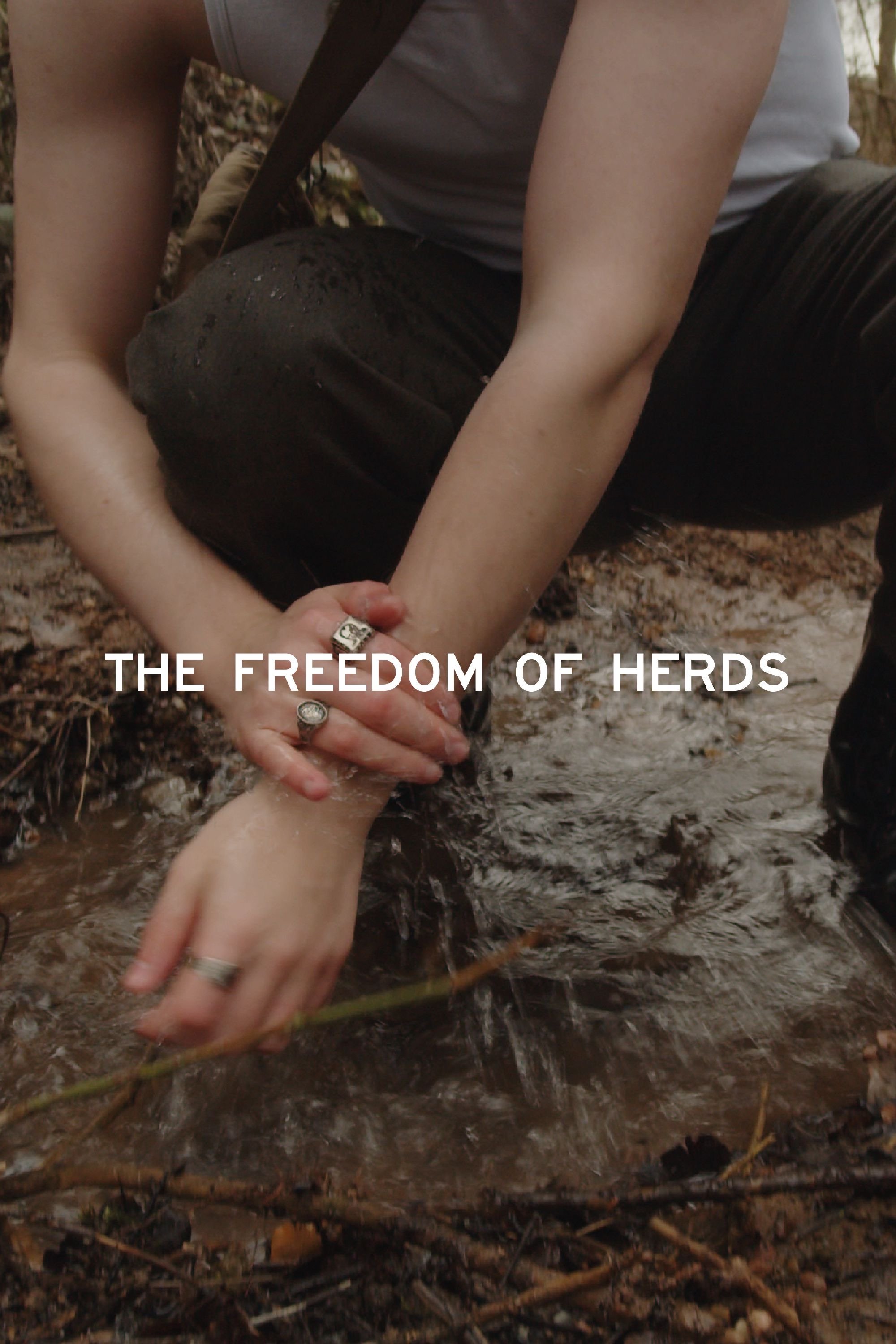 The Freedom of Herds
