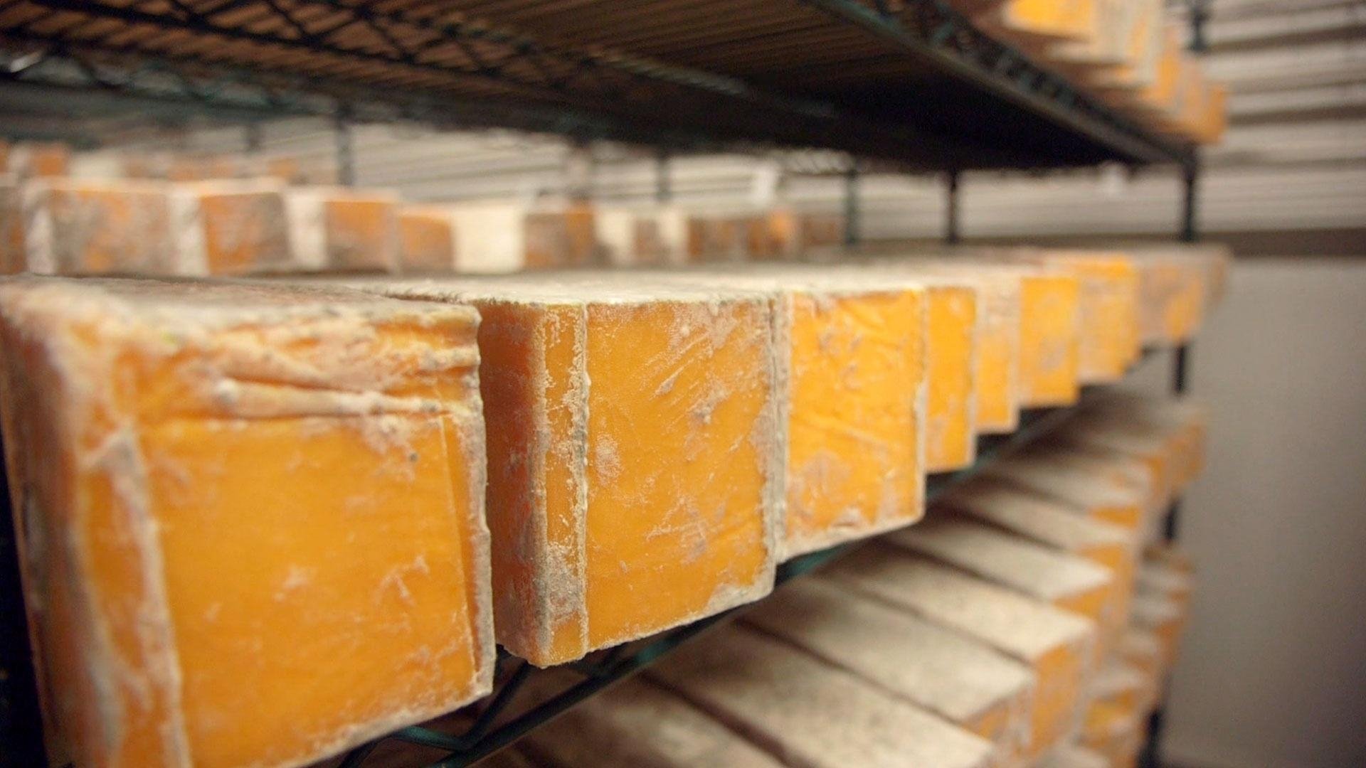 Wisconsin Foodie - Épisode 11