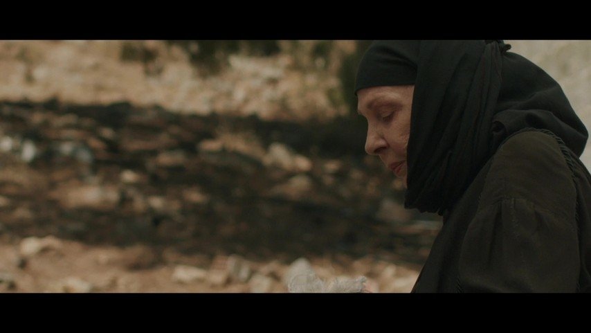 Episode 5