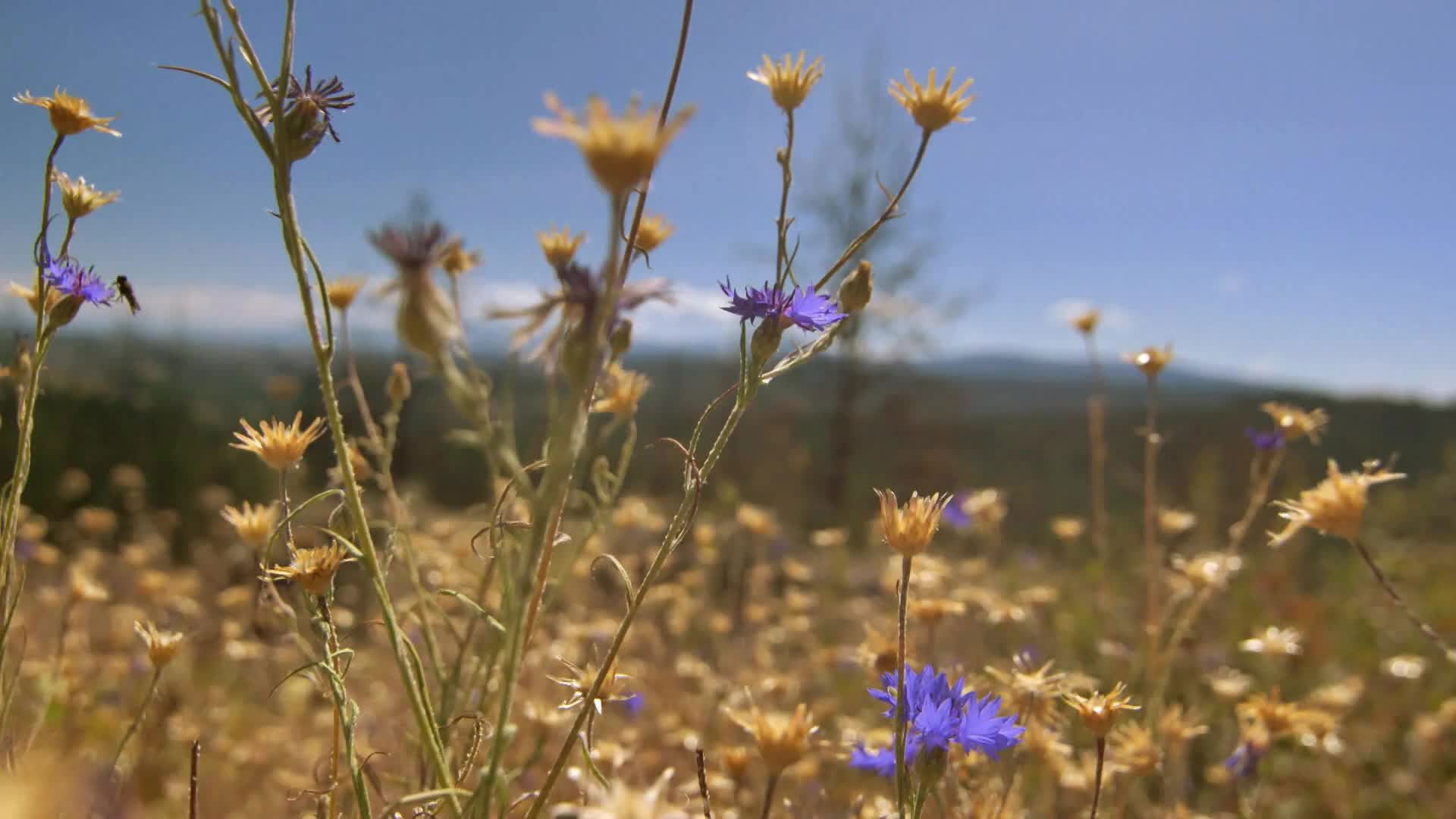 A Killer's Mistake S02E03 backdrop