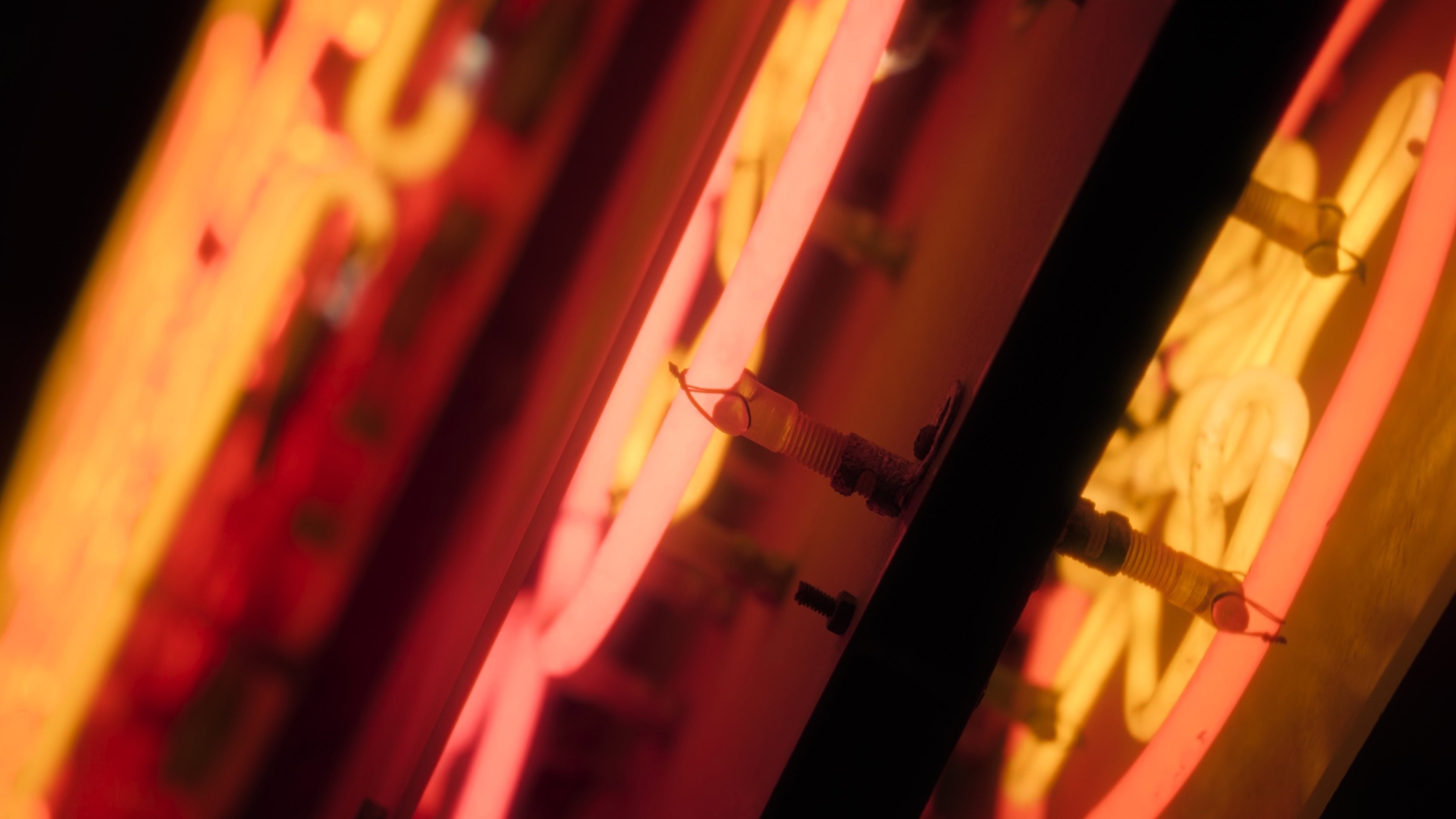 Neon Masters: Preserving Hong Kong's Glowing Legacy